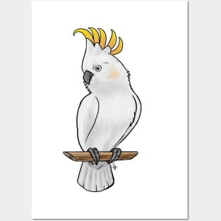 Bird - Citron Cockatoo - Crest Up Posters and Art